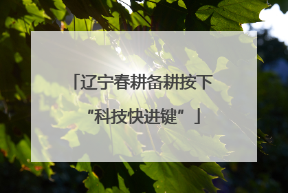 辽宁春耕备耕按下“科技快进键”