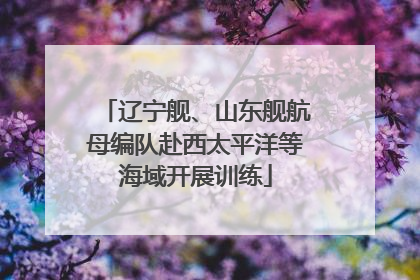 辽宁舰、山东舰航母编队赴西太平洋等海域开展训练