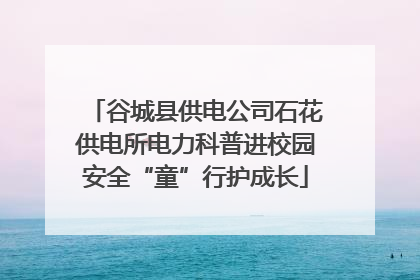 谷城县供电公司石花供电所电力科普进校园安全“童”行护成长