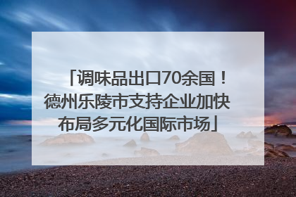 调味品出口70余国！德州乐陵市支持企业加快布局多元化国际市场
