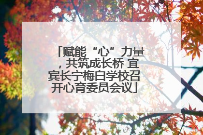 赋能“心”力量，共筑成长桥 宜宾长宁梅白学校召开心育委员会议