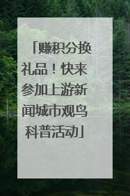 赚积分换礼品！快来参加上游新闻城市观鸟科普活动