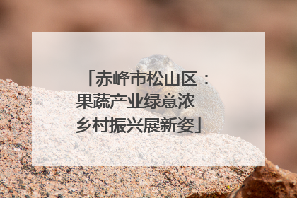 赤峰市松山区：果蔬产业绿意浓 乡村振兴展新姿