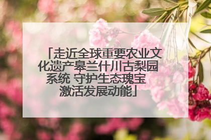 走近全球重要农业文化遗产皋兰什川古梨园系统 守护生态瑰宝 激活发展动能