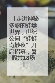 走进神秘多彩的蛙类世界，世纪公园“蛙蛙奇妙夜”开启招募，暑假共18场
