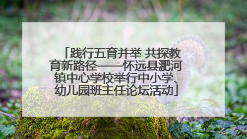 践行五育并举 共探教育新路径——怀远县淝河镇中心学校举行中小学、幼儿园班主任论坛活动