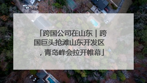 跨国公司在山东｜跨国巨头抢滩山东开发区，青岛峰会拉开帷幕