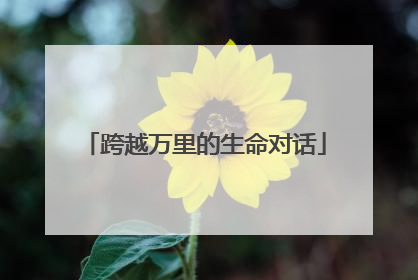 跨越万里的生命对话