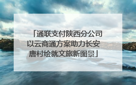 通联支付陕西分公司以云商通方案助力长安唐村绘就文旅新图景