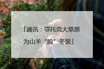 通讯：鄂托克大草原为山羊“脱”冬装