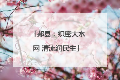 郏县：织密大水网 清流润民生