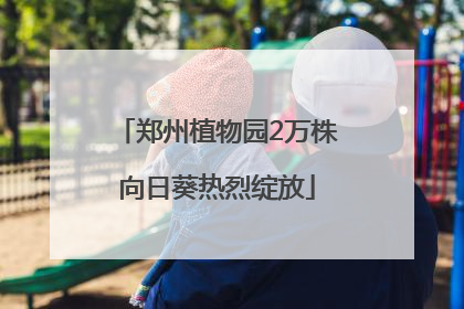 郑州植物园2万株向日葵热烈绽放