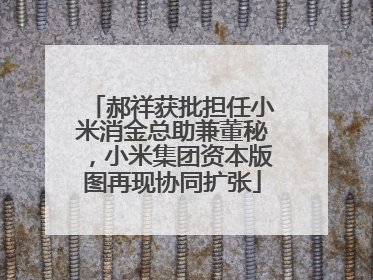郝祥获批担任小米消金总助兼董秘，小米集团资本版图再现协同扩张