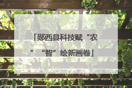 郧西县科技赋“农”“智”绘新画卷