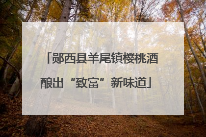 郧西县羊尾镇樱桃酒酿出“致富”新味道