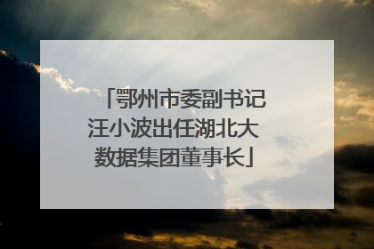 鄂州市委副书记汪小波出任湖北大数据集团董事长