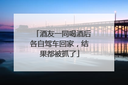 酒友一同喝酒后各自驾车回家，结果都被抓了