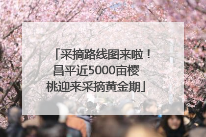 采摘路线图来啦！昌平近5000亩樱桃迎来采摘黄金期