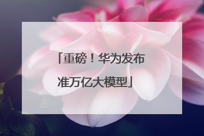 重磅！华为发布准万亿大模型
