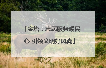 金塔：志愿服务暖民心 引领文明好风尚