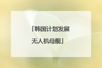 韩国计划发展无人机母舰