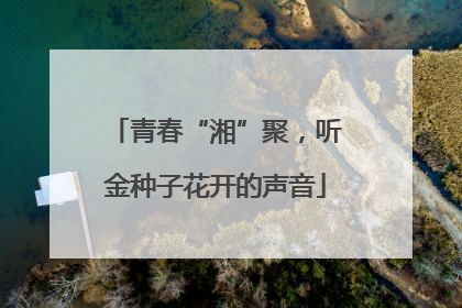 青春“湘”聚，听金种子花开的声音