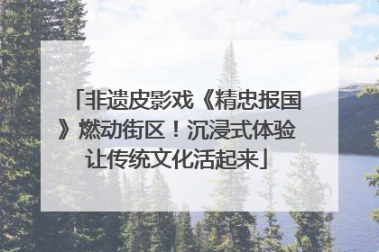 非遗皮影戏《精忠报国》燃动街区！沉浸式体验让传统文化活起来