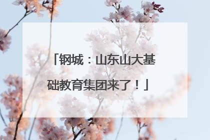 钢城：山东山大基础教育集团来了！