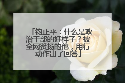 钧正平：什么是政治干部的好样子？被全网赞扬的他，用行动作出了回答