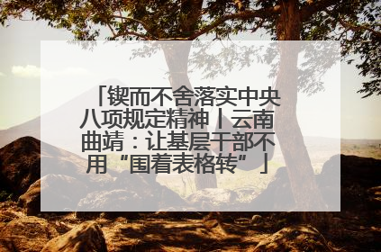 锲而不舍落实中央八项规定精神丨云南曲靖：让基层干部不用“围着表格转”