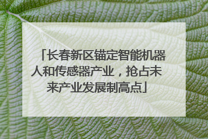 长春新区锚定智能机器人和传感器产业，抢占未来产业发展制高点