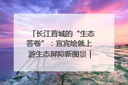长江首城的“生态答卷”：宜宾绘就上游生态屏障新图景｜中华环保世纪行