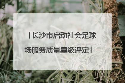 长沙市启动社会足球场服务质量星级评定