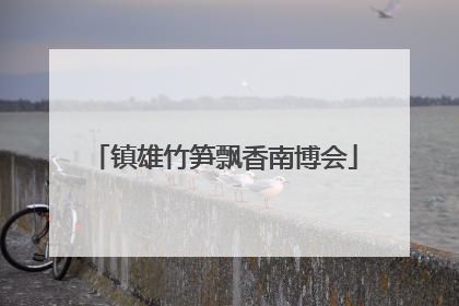 镇雄竹笋飘香南博会