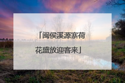 闽侯溪源寨荷花盛放迎客来