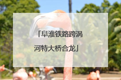 阜淮铁路跨涡河特大桥合龙