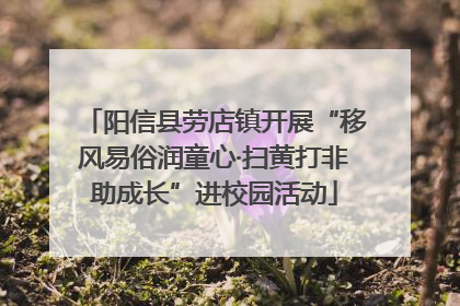 阳信县劳店镇开展“移风易俗润童心·扫黄打非助成长”进校园活动