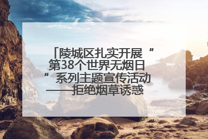 陵城区扎实开展“第38个世界无烟日”系列主题宣传活动——拒绝烟草诱惑 对第一支烟说不