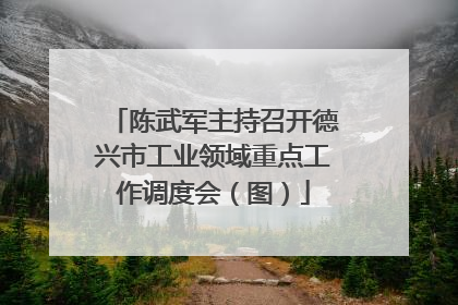 陈武军主持召开德兴市工业领域重点工作调度会（图）