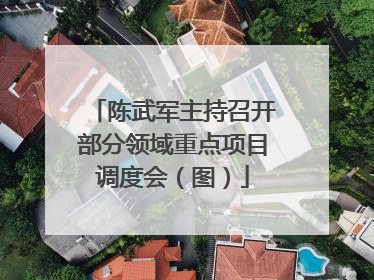 陈武军主持召开部分领域重点项目调度会（图）