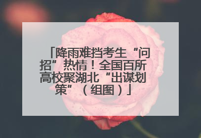 降雨难挡考生“问招”热情！全国百所高校聚湖北“出谋划策”（组图）
