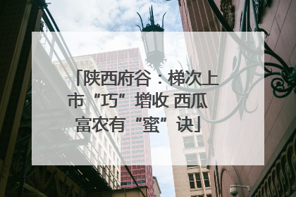 陕西府谷：梯次上市“巧”增收 西瓜富农有“蜜”诀