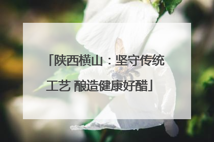 陕西横山：坚守传统工艺 酿造健康好醋