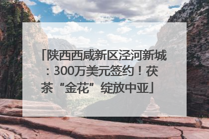 陕西西咸新区泾河新城：300万美元签约！茯茶“金花”绽放中亚