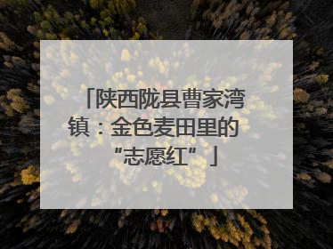 陕西陇县曹家湾镇：金色麦田里的“志愿红”