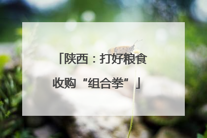 陕西：打好粮食收购“组合拳”