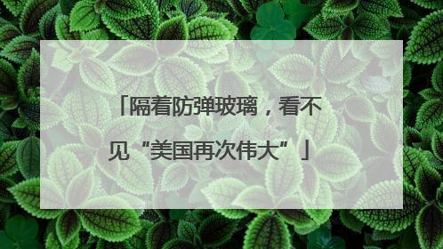 隔着防弹玻璃，看不见“美国再次伟大”