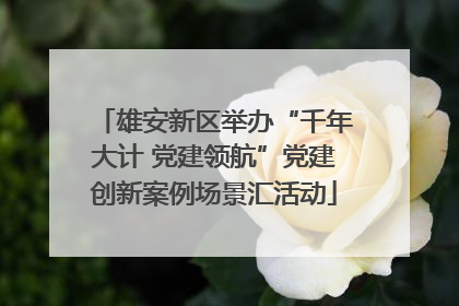 雄安新区举办“千年大计 党建领航”党建创新案例场景汇活动