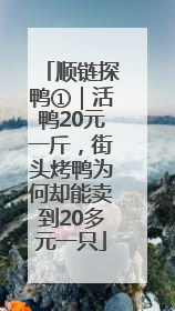 顺链探鸭①｜活鸭20元一斤，街头烤鸭为何却能卖到20多元一只