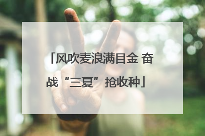 风吹麦浪满目金 奋战“三夏”抢收种